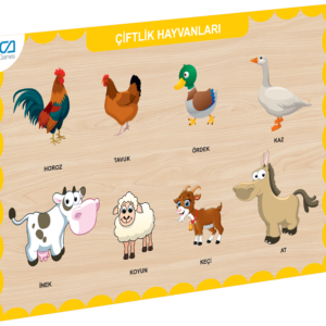 Çiftlik Hayvanları