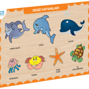 Deniz Hayvanları